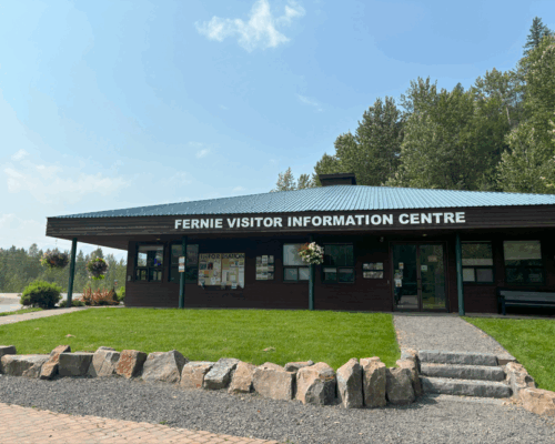 Screenshot 2025-03-31 134655