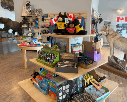 Screenshot 2025-03-31 143841