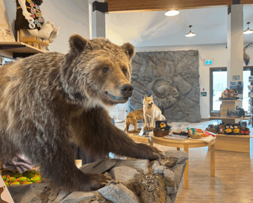 Screenshot 2025-03-31 143900