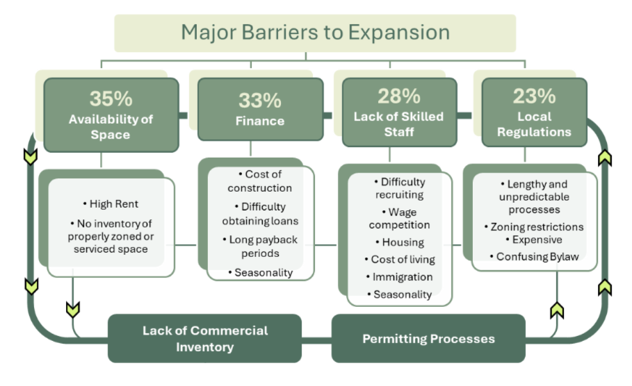 Diagram showing that barriers to expansion are all interconnected and related.
