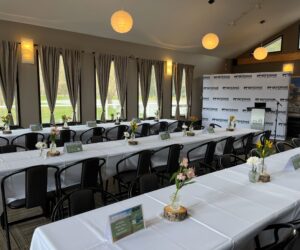 20250421_221227639_iOS