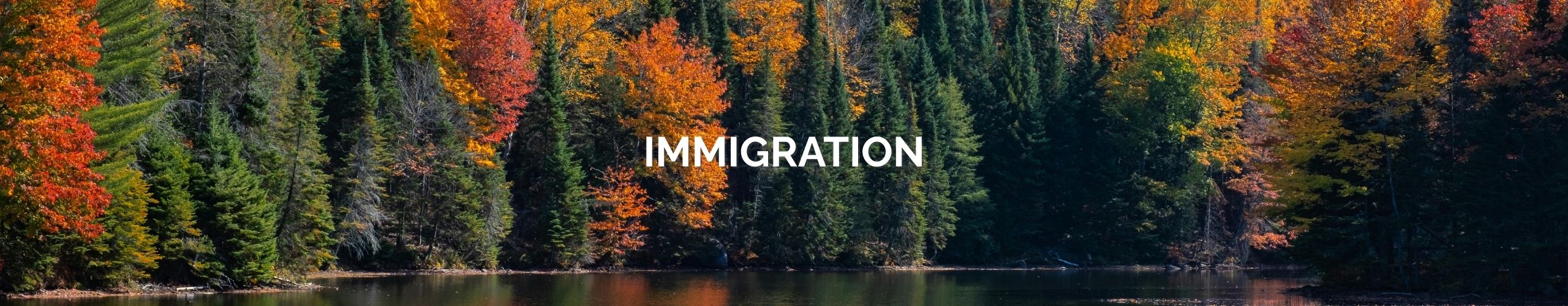 Immigration Immigration